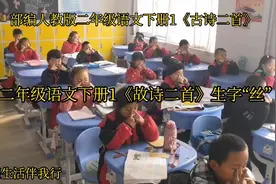 二年级语文下册1《古诗二首》生字“丝”