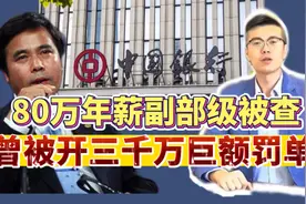 中国银行原董事长被查，年薪80万，此前多名下属出事，有三个看点视频封面