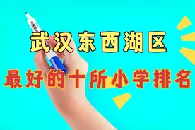武汉东西湖区最好的十所小学排名视频封面