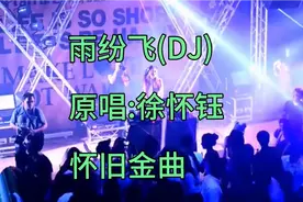 徐怀钰《雨纷飞》飞在天空里是我的眼泪，经典老歌DJ版视频封面