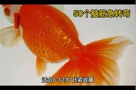 50个脑筋急转弯，适合6－12岁，赶紧收藏视频封面