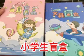 开箱两款小学生文具盲盒！都能开出什么东西呢？你们喜欢吗？视频封面