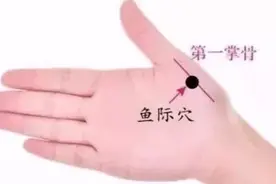 治疗咽喉肿痛、肺炎等肺系疾病的特效穴～鱼际穴视频封面