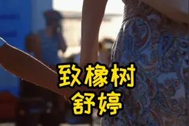 初中课文《致橡树》赏析。作者舒婷，制作人@诗与远方视频封面