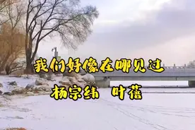 我们好像在哪见过～杨宗纬叶蓓深情对唱视频封面