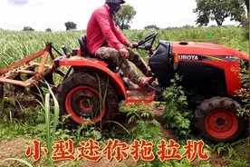 迷你型久保田21马力拖拉机给甘蔗破垄视频封面
