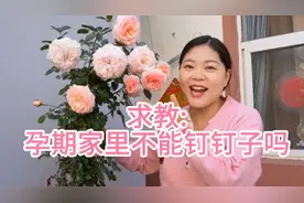 小乔求教:怀孕期间，家里钉钉子对宝宝有什么影响吗？视频封面
