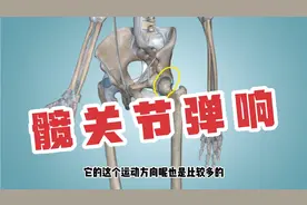 髋关节疼痛，有响声，解剖分析 ，一次性了解清楚视频封面