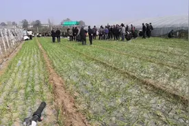 豫东农村，过三周年祭奠仪式记录视频封面