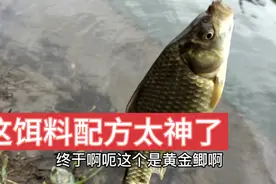 野钓王：用的这款鲫鱼饵料配方太神了，2小时钓好几斤，神饵配方视频封面