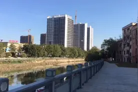 广州黄埔南岗拆迁如火如荼的进行中，打工人的广州梦该怎么守护视频封面