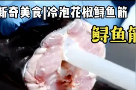 新奇特美食！鲟鱼筋好吃吗？冷泡花椒鲟鱼筋视频封面