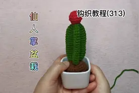 鸿运当头仙人掌盆栽，这么好的寓意给自己来一盆吧视频封面