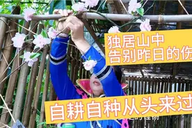 独居山中，告别昨日的伤痛，自耕自种从头来过视频封面