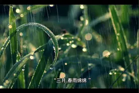 情感小故事：雨中的感动视频封面