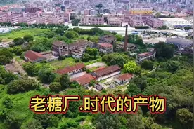 东莞被废弃的旧糖厂，里面已经荒草丛生，航拍东莞市横沥镇旧糖厂视频封面