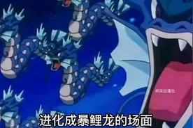 宝可梦：漫天都是暴鲤龙！鲤鱼王一起进化，这也带组团的？视频封面