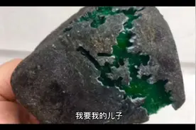 我要我的儿子视频封面