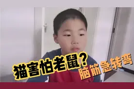 脑筋急转弯，一只大花猫，看见老鼠拔腿就跑，它害怕了？视频封面