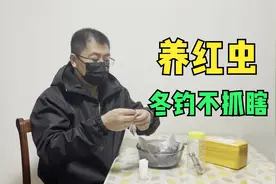 红虫怎么养活的久？分享一妙招，随用随取，冬季钓鱼不抓瞎视频封面