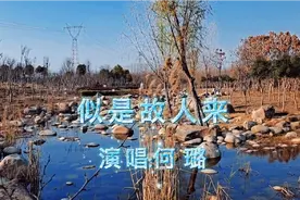 国语版（似是故人来）演唱:何璐  咋一听来，别有一番滋味在心头视频封面