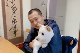 北京最严厉养狗条例播报了，沈阳办狗证一个500元，北京多少钱啊视频封面
