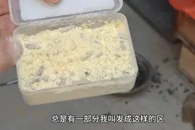 这样生肉蛆，简单方便，易操作，在水里耐泡，上鱼快又多。视频封面