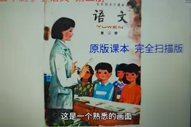 80后的回忆小学五年制语文课本第二册视频封面