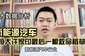 大数据分析，新能源汽车暴利行业？恒大许家印最后一根救命稻草？视频封面