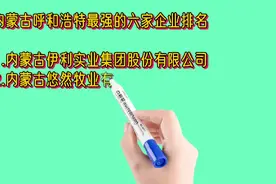内蒙古呼和浩特最强的六家企业排名视频封面