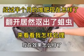 堆肥半月今天来翻堆，发现长了好多蛆虫！来看看我是怎样灭掉它们视频封面