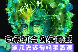 从乐山到自贡欣赏灯会确实震撼，这几天有明星演出，118票价值吗视频封面