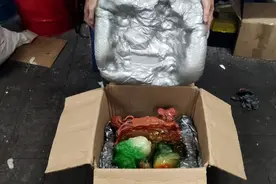 适合大件礼物的包装技巧 礼物盒怎么包装发货不受损 包装发泡胶