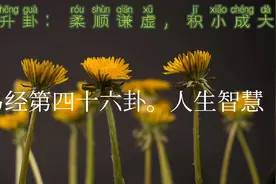 易经第46卦升卦人生启示：柔顺谦虚，积小成大。智慧处世之道视频封面