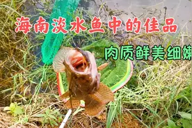海南岛冬季温度17～24度，非常适合垂钓，游走赏景垂钓两不误视频封面