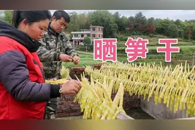 如何晒野生笋干？小农乡教你步骤，晒出来又黄又脆，一次晒30斤视频封面