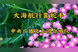 《大海航行靠舵手》歌词简短，曲调明快，朗朗上口，当时风靡全国视频封面