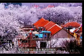 超详细的里口山春游路线视频封面