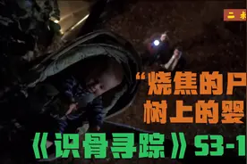 公路旁发现一具焦尸，树上还挂着一个婴儿宝宝，这令人惊奇......视频封面