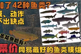 我的世界手机网易版更多鱼类模组 ：添加了42种不同群系的鱼类！