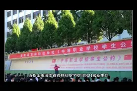 五女殴打一男视频封面