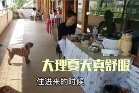 旅居云南夏季避暑，大理租院子的自由生活，青菜自由鲜花自由视频封面