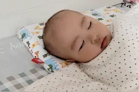 学校的花园里呀哇呀哇呀哇视频封面