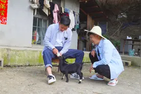 哥哥为了体现自己的勤奋， 特意买了只可爱的小羊羔回来养。视频封面