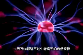 冰葬将代替火葬，武汉成为第一试点！视频封面