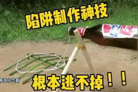 捕捉陷阱绝技，陷阱制作实打实教学，坚实很好用视频封面