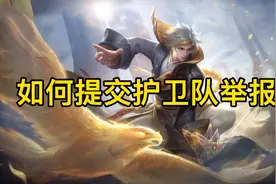 关于如何提交护卫队举报#王者 #鹰眼护卫队