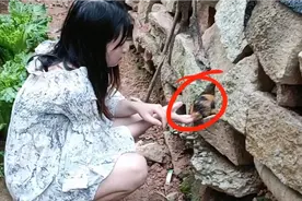 农村妹子发现神奇的蘑菇，到最后才发现竟然不是蘑菇！