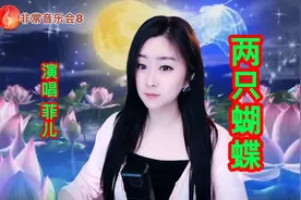菲儿演唱DJ版歌曲《两只蝴蝶》，老歌真的还是依然好听！视频封面
