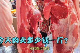 四川猪肉一天一个价，实拍11月9号价格多少钱一斤？这价贵吗